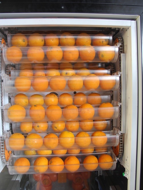 Freshly Squeezed Orange Juice Vending Machine With Self Clean